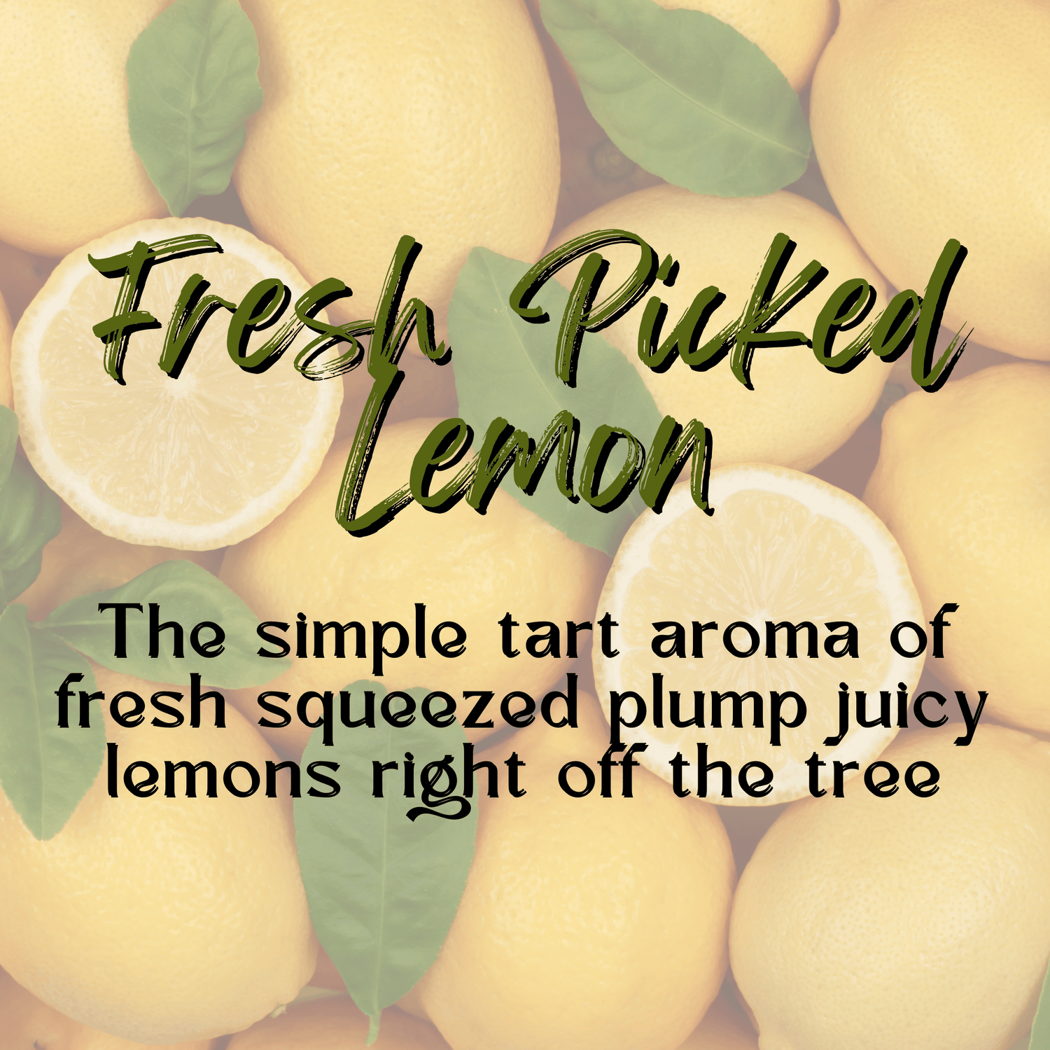 Fresh Picked Lemon
