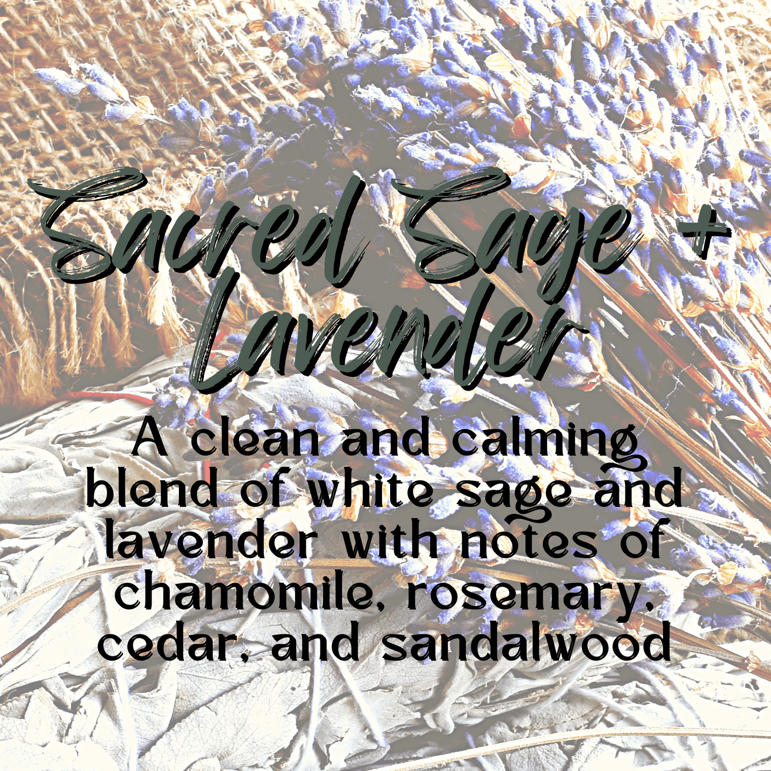 Sacred Sage + Lavender