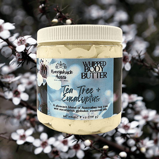 Whipped Body Butter | Tea Tree + Eucalyptus | Vegan
