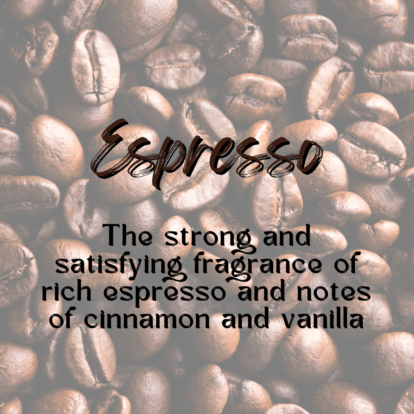 Nourishing Body Oil | Espresso | Choice of Size