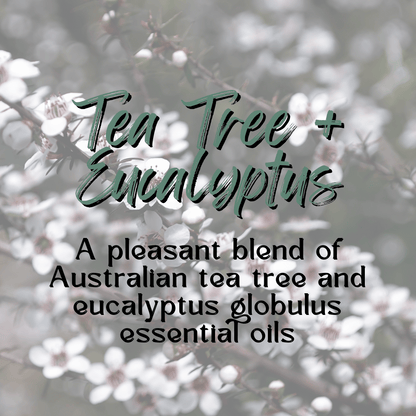 Body Balm Tube | Tea Tree + Eucalyptus | Vegan Solid Lotion Bar