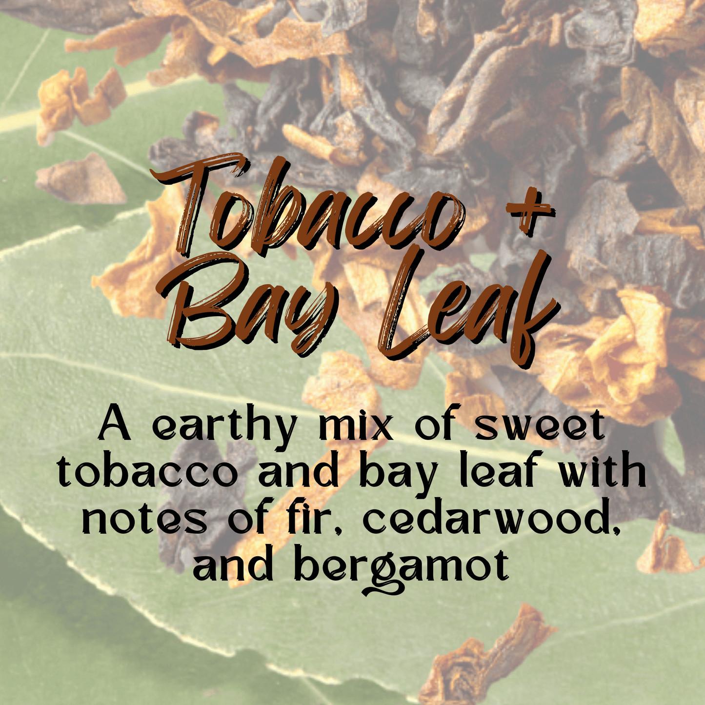 Room + Linen Spray | Tobacco + Bay Leaf | Odor Eliminating Air Freshener